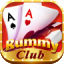 rummy deltin logo