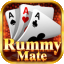 shoukeen rummy ranjha