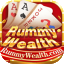 who is the owner of rummy circle